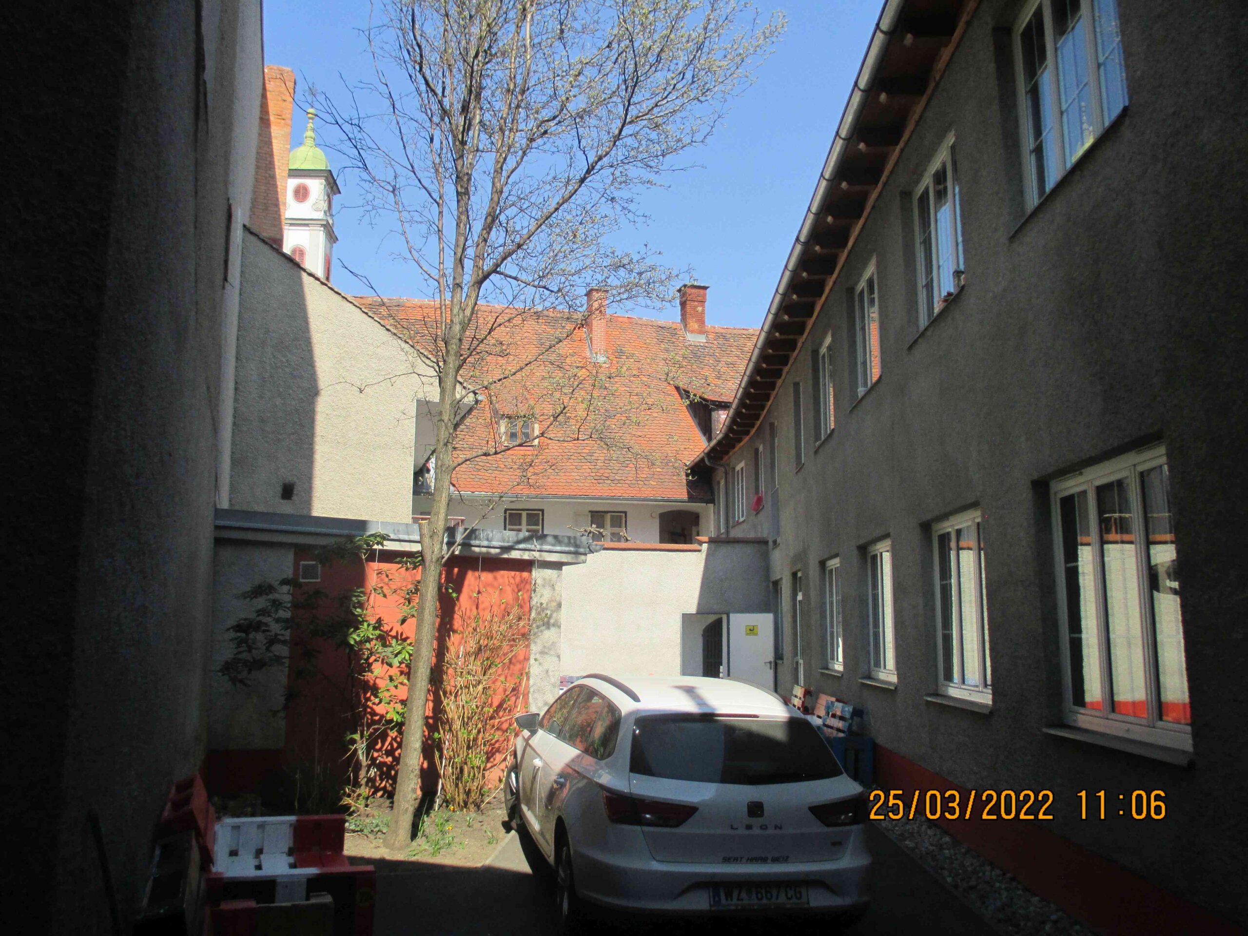 Vinzi (1)