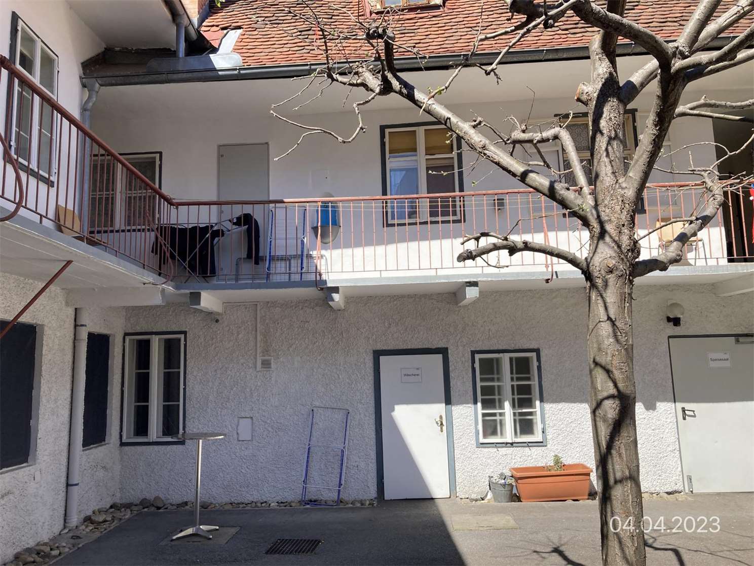 Vinzi (16)